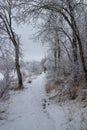 Frost covered trees and snow covered trail at Osyoos Lake on a winter day Royalty Free Stock Photo